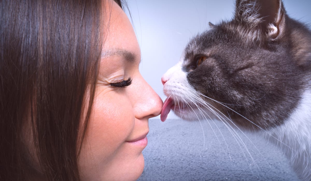 Why does my cat lick me? 